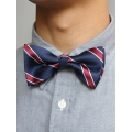 Bow Tie (Blue/Red Strap)